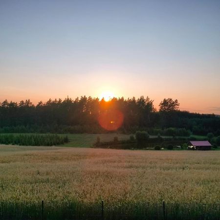Agroturystyka U Kasi Suryty Екстериор снимка