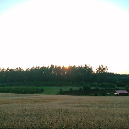 Agroturystyka U Kasi Suryty Екстериор снимка