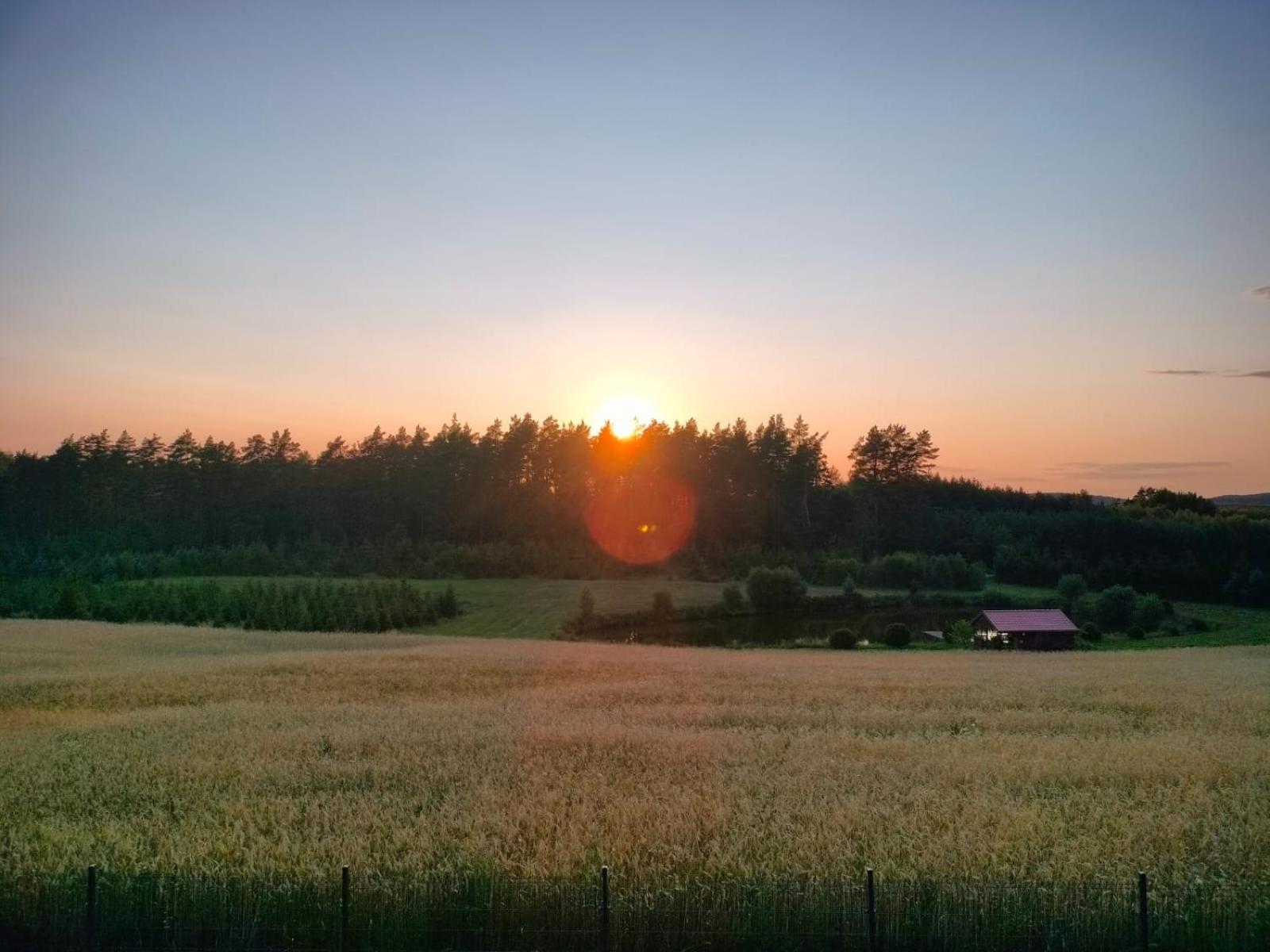 Agroturystyka U Kasi Suryty Екстериор снимка