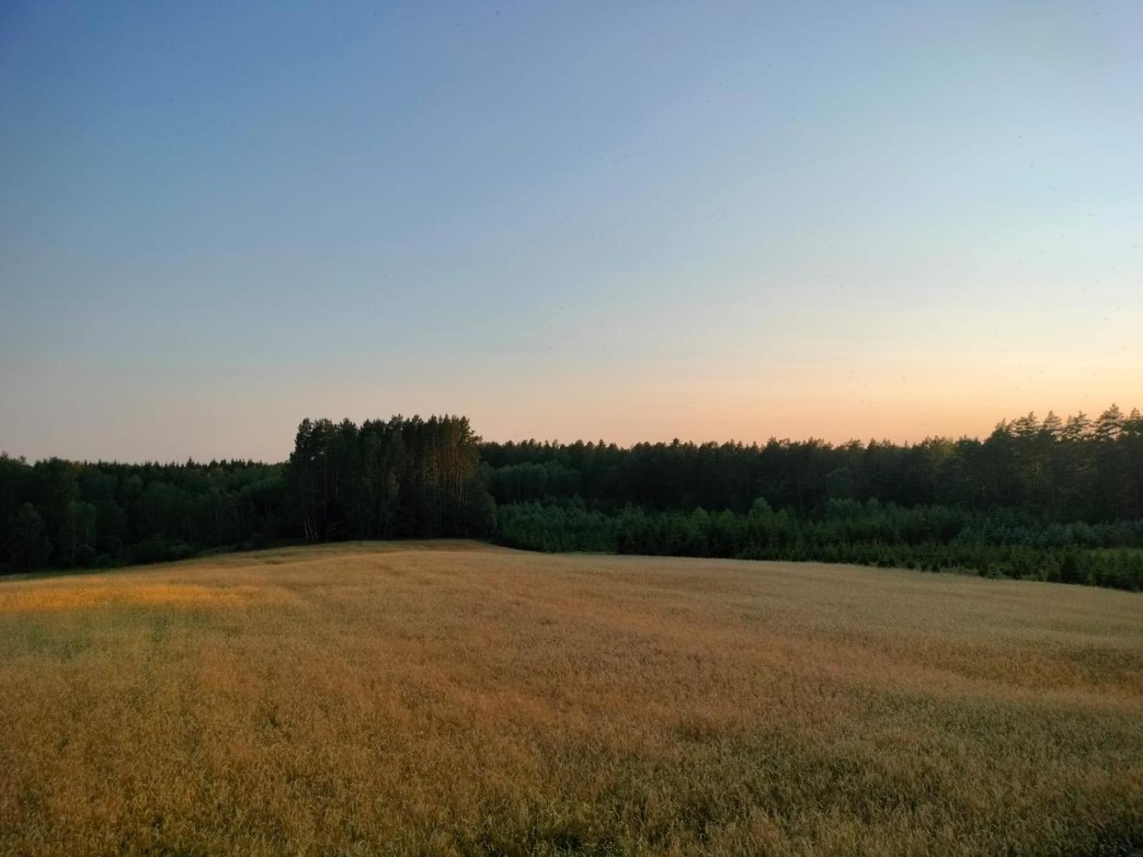 Agroturystyka U Kasi Suryty Екстериор снимка